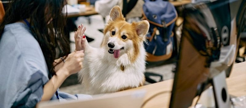 【未経験歓迎】データでファンを増やすマーケティング&CRMアシスタント!