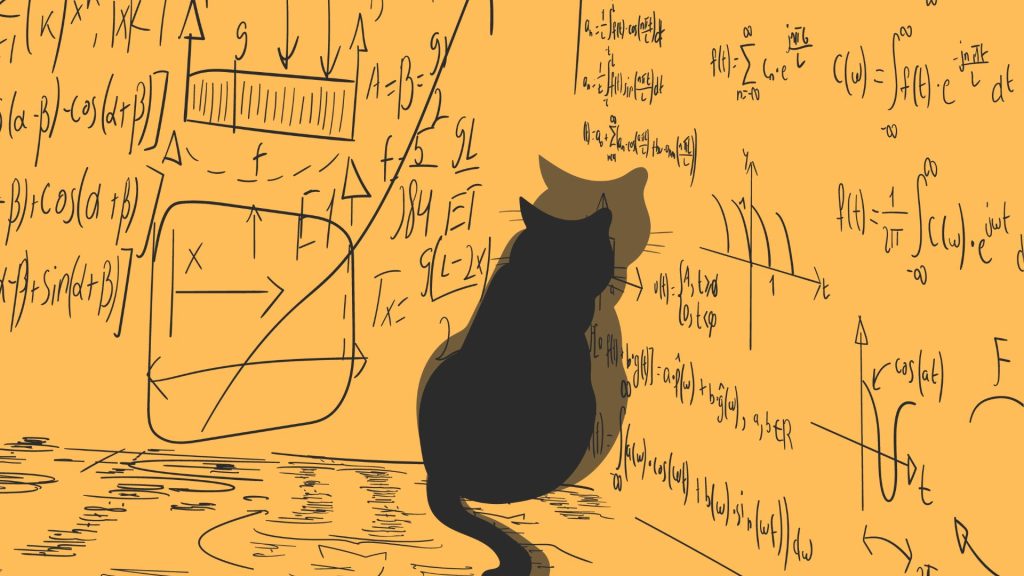 数学をするねこ